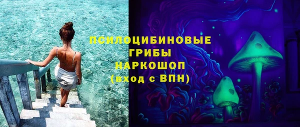 индика Армянск