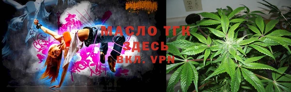 индика Армянск