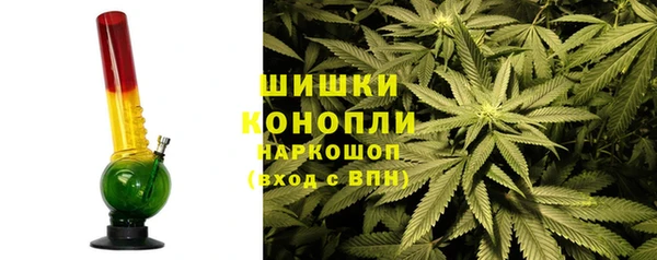 индика Армянск